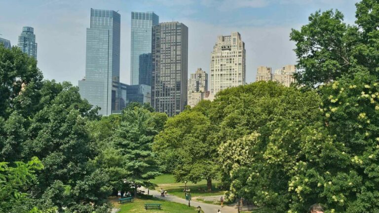 Central Park Secrets – Hidden Gems Most Tourists Miss