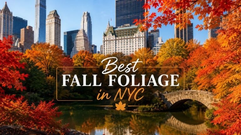 Best Fall Foliage in NYC: 25 Beautiful Places to See Autumn Colors